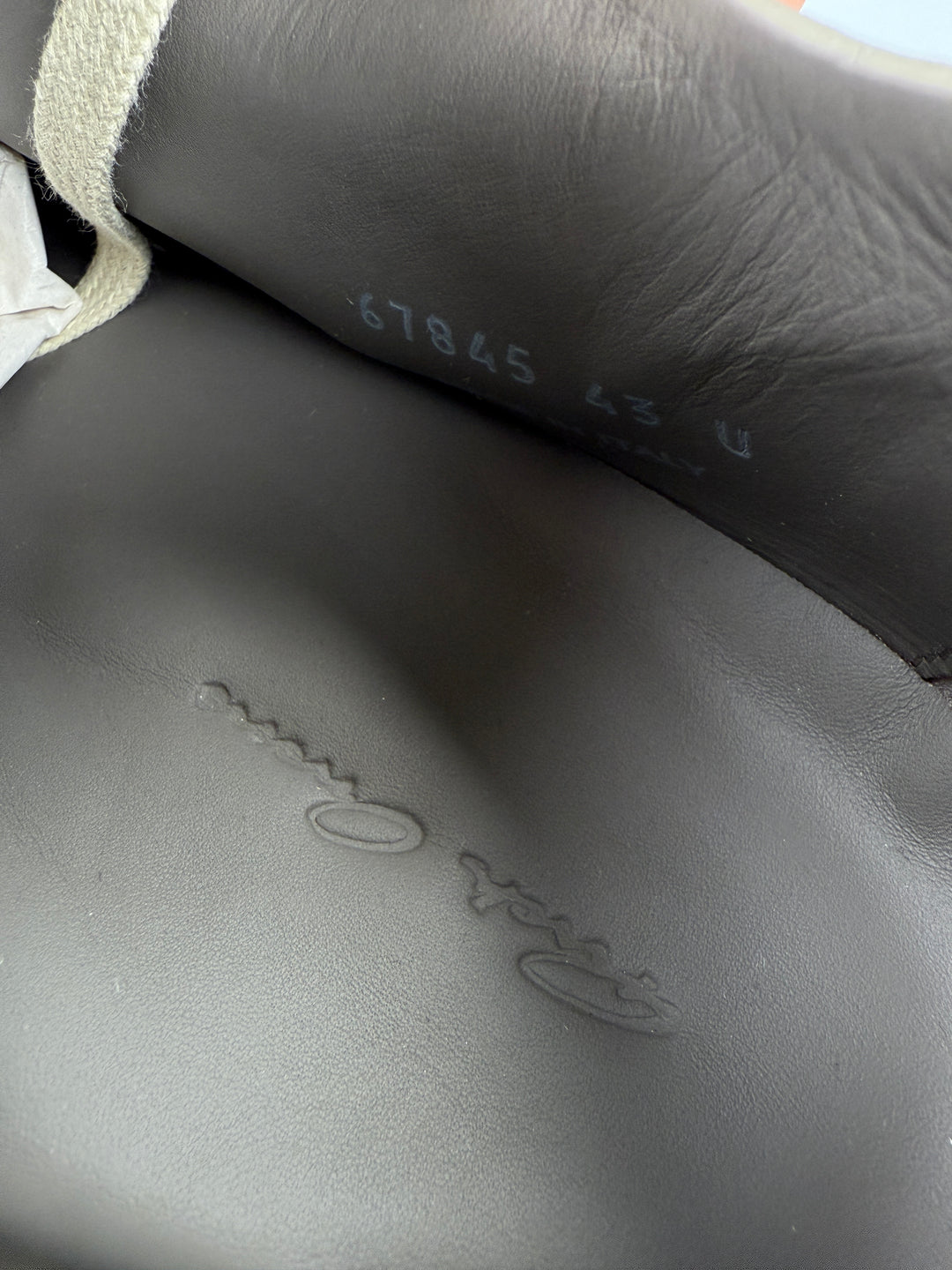 Transparent Low Ramones