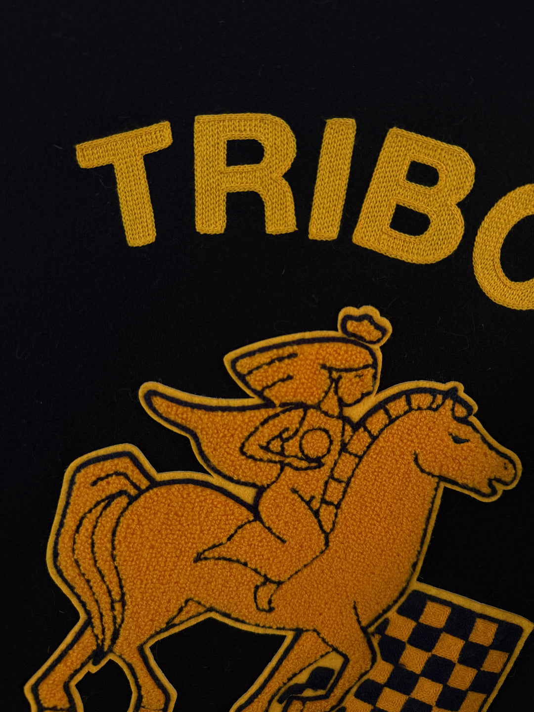 Triboro Chess Club Varsity Jacket
