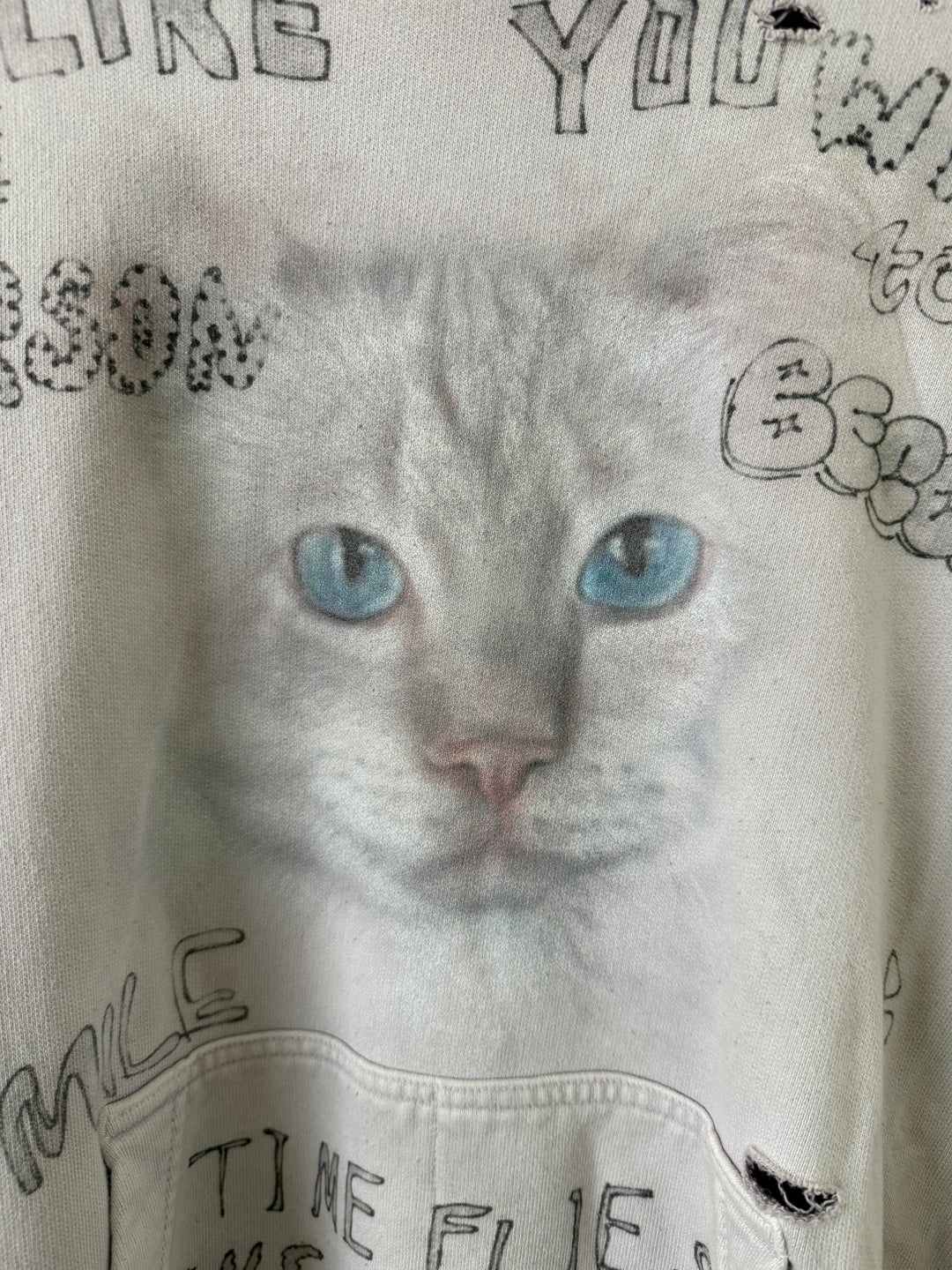 Bleached Distressed Cat Hoodie