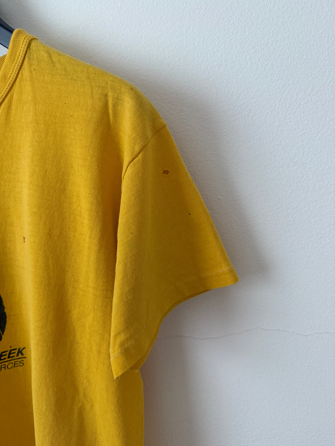 1980's Run for Renewable Resources Tee